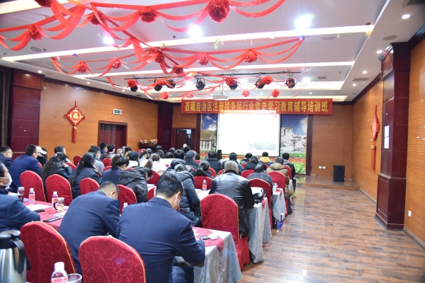 西藏税协：扎实开展党史学习教育 为行业高质量发展培根铸魂