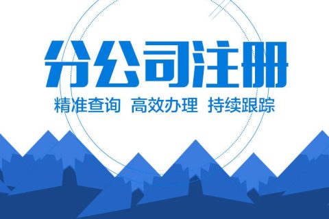 在拉萨设立分公司的流程、所需材料、办理时间