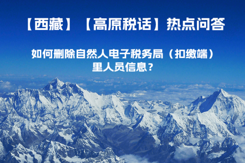 如何删除西藏自然人电子税务局（扣缴端）里人员信息？