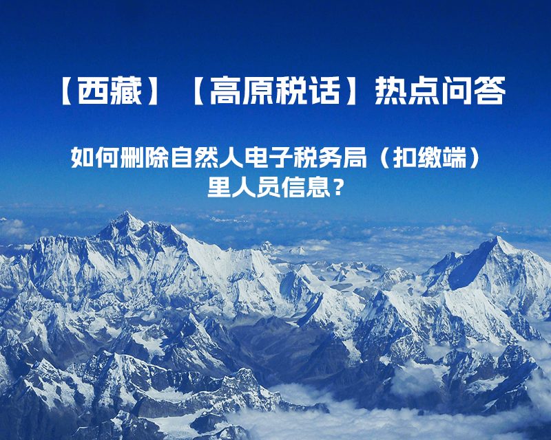 如何删除西藏自然人电子税务局（扣缴端）里人员信息？