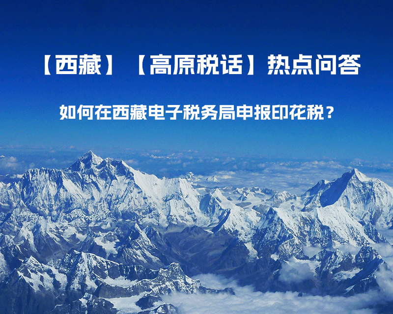 如何在西藏自治区电子税务局申报印花税？