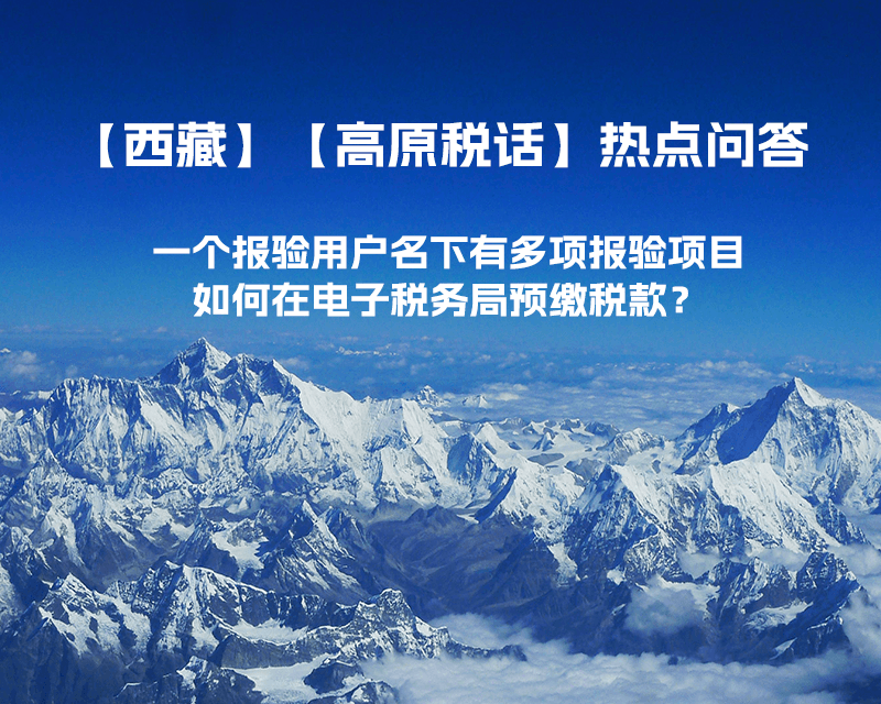 一个报验用户名下有多项报验项目，如何在电子税务局预缴税款？