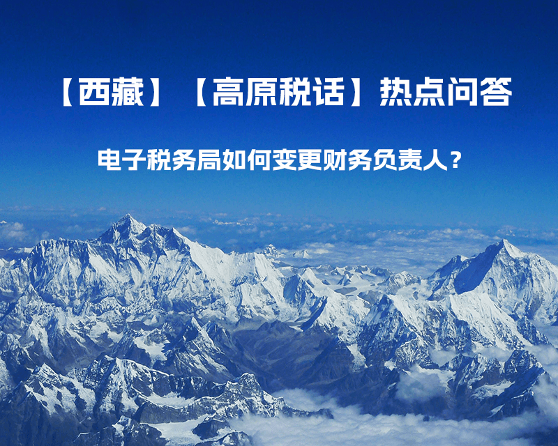 电子税务局如何变更财务负责人？