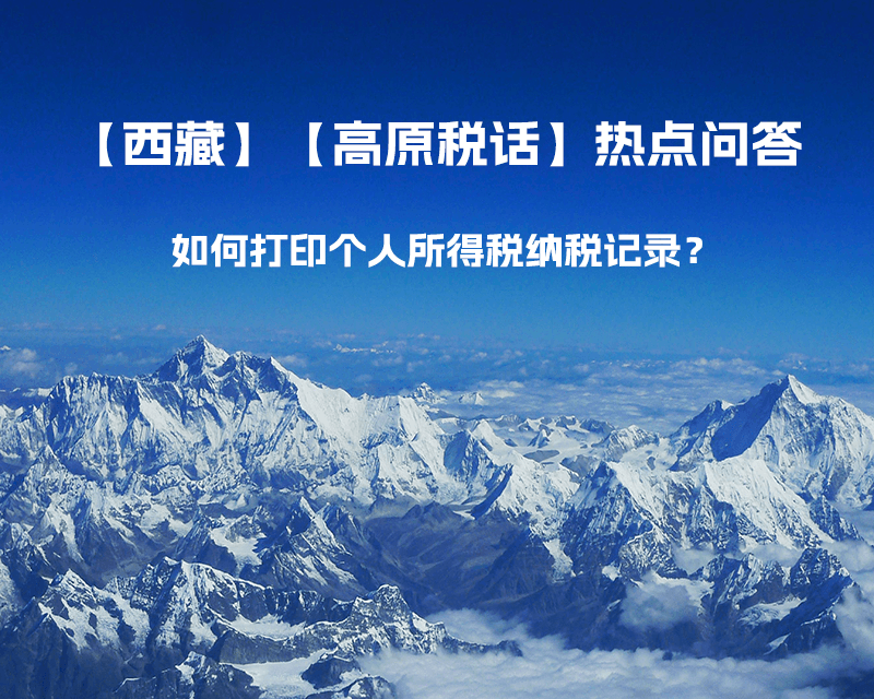 如何打印个人所得税纳税记录？