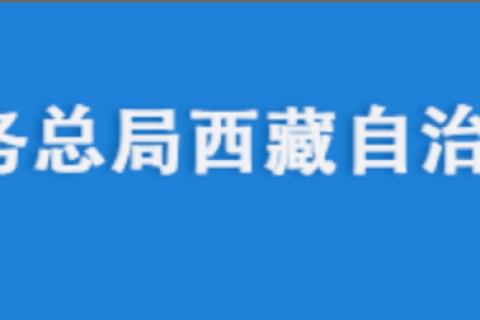 电脑更换后，自然人电子税务局扣缴端申报收入额如何进行累计？