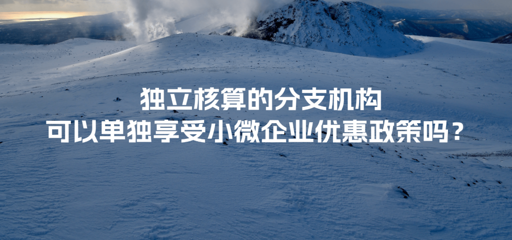 独立核算的分支机构可以单独享受小微企业优惠政策吗？