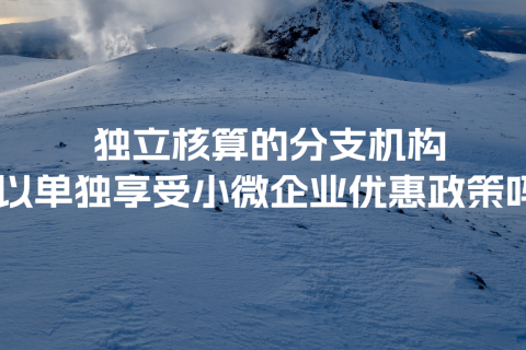 独立核算的分支机构可以单独享受小微企业优惠政策吗？