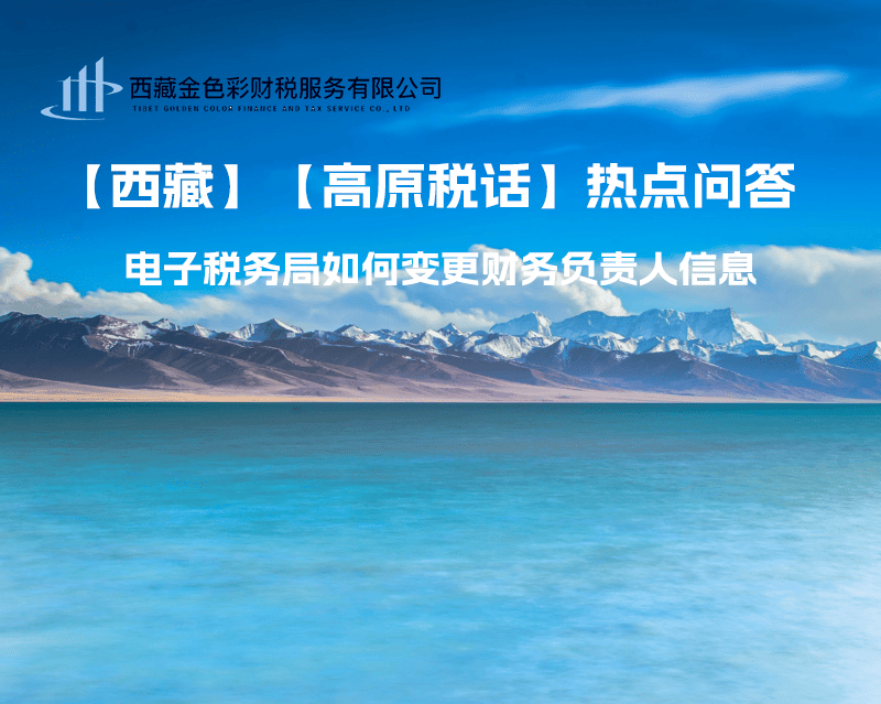 西藏电子税务局如何变更财务负责人信息？