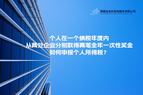 个人在一个纳税年度内，从两处企业分别取得两笔全年一次性奖金，如何申报个人所得税？