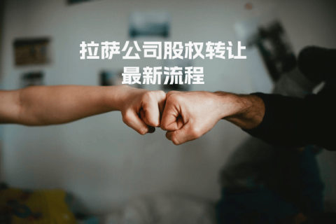 拉萨公司进行股权转让最新流程